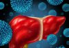 Hepatit C