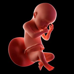 Gravid vecka 30
