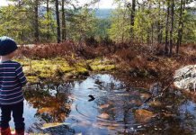 Jag hade glömt naturens mäktiga må-bra-effekt