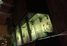 Tid för avkoppling – fiskspa